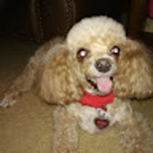 Meet your Posher, Patricia